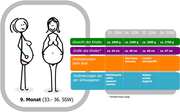 Schwangerschaftskalender 9. Monat