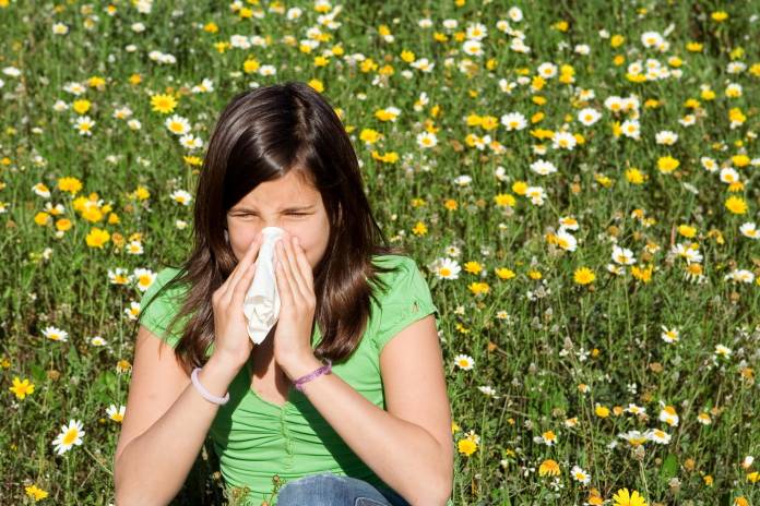 Ursachen der Pollenallergie