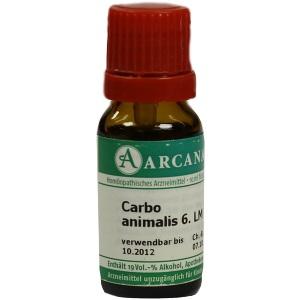 CARBO ANIMALIS ARCA LM 06, 10 ML