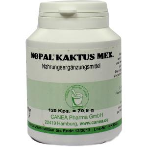 Nopal-Kaktus mex., 120 ST