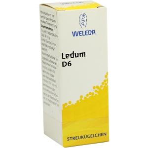 Ledum D6, 10 G