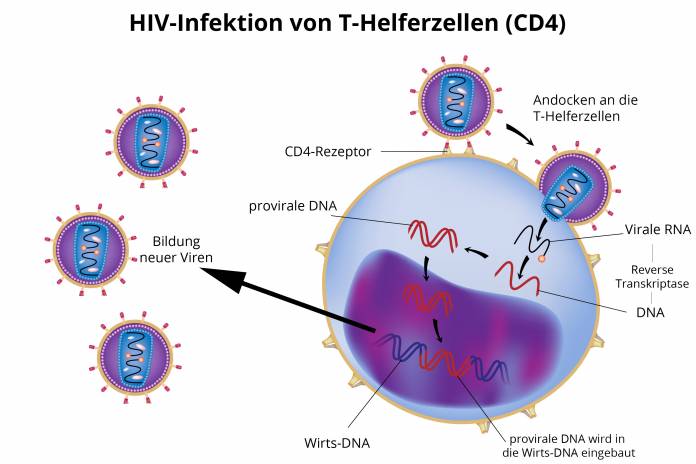 Was macht HIV?
