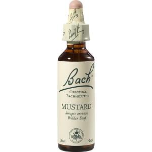 Bach-Blüte Mustard, 20 ML