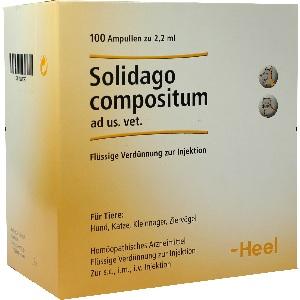 Solidago compositum ad us.vet., 100 ST