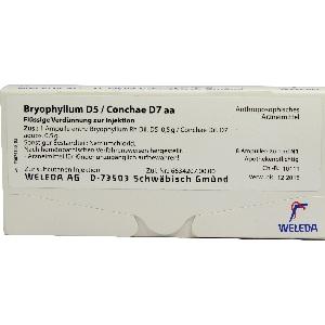 BRYOPHYLLUM D 5 CON D 7, 8x1 ML
