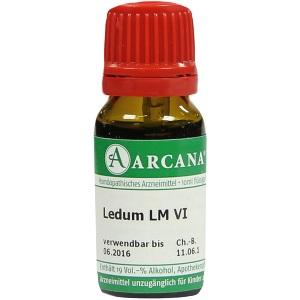 LEDUM ARCA LM 06, 10 ML