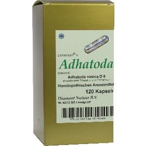 Adhatoda, 120 ST