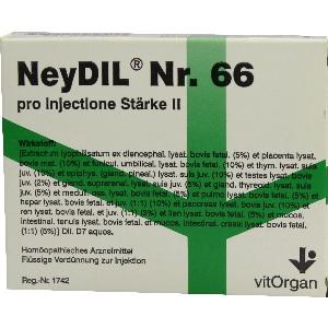 NeyDIL Nr. 66 pro injectione Stärke II, 5x2 ML