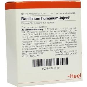 Bacillinum humanum-Injeel, 10 ST