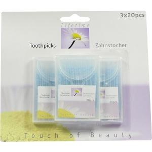 Zahnstocher Kunststoff Toothpicks in Box, 3x20 ST