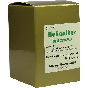 Helianthus tuberosus, 60 ST